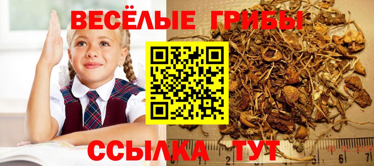 Псилоцибиновые грибы мухоморы Дятьково